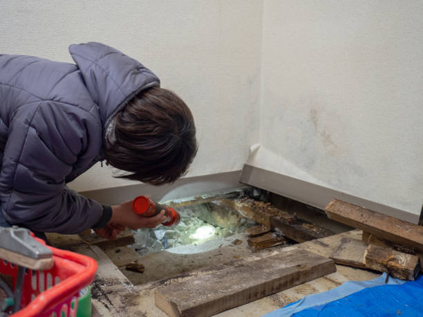 Best Dehumidification Services  in Lewisville, TX