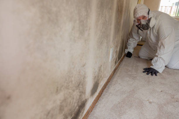 Dehumidification Services in Lewisville, TX